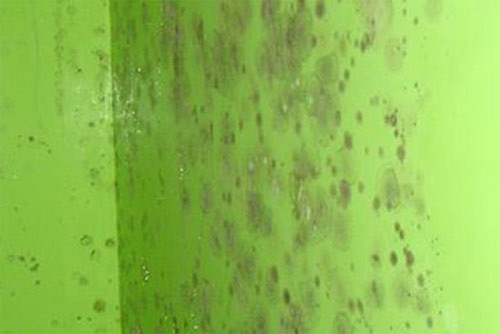 解決方案:六招解決粉刷涂料的常見問題