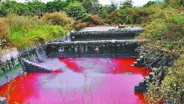 四川查處一起水性涂料廢料嚴重污染環(huán)境案