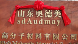 中國水性涂料、粘合劑領(lǐng)域領(lǐng)導(dǎo)者