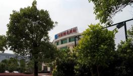 ?“重鈣一哥”上半年產值逾5億多元!