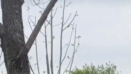 火爆！太火爆了！這次不是訂單........