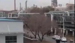 突發(fā)！一化工廠3名員工被殺！1人受傷！