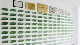 再獲殊榮！三棵樹攜8000支產品推出“六位一體”一站式系統