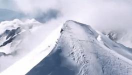 觸達(dá)36億人次！三棵樹(shù)小森板登陸央廣中國(guó)之聲，品牌代言人