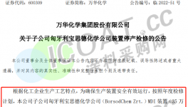 停！停！幾十家化工巨頭停產(chǎn)！