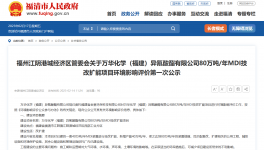 產(chǎn)能沖擊80萬(wàn)噸/年！萬(wàn)華化學(xué)再發(fā)力！