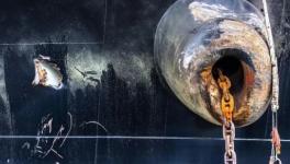 海運(yùn)火爆！38年防腐涂料“小巨人”為你護(hù)航！