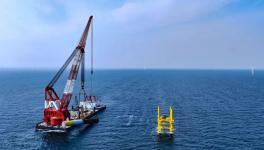 持續(xù)發(fā)力！多個海上風電項目建造進度更新！