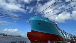 全球最大！這個特涂工程創紀錄！