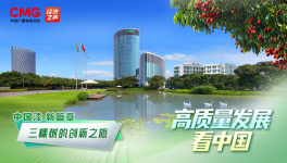 中國(guó)漆 新篇章：三棵樹的創(chuàng)新之旅