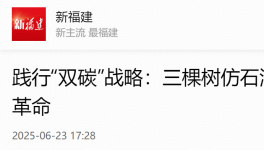 踐行“雙碳”戰略：三棵樹仿石漆引領建筑涂料綠色革命