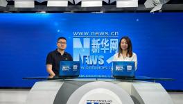 8小時“馬上住”新家？三棵樹的底氣來源于哪里？