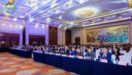 展辰新材以創新實力共筑行業未來